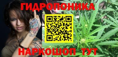 сатива Берёзовский