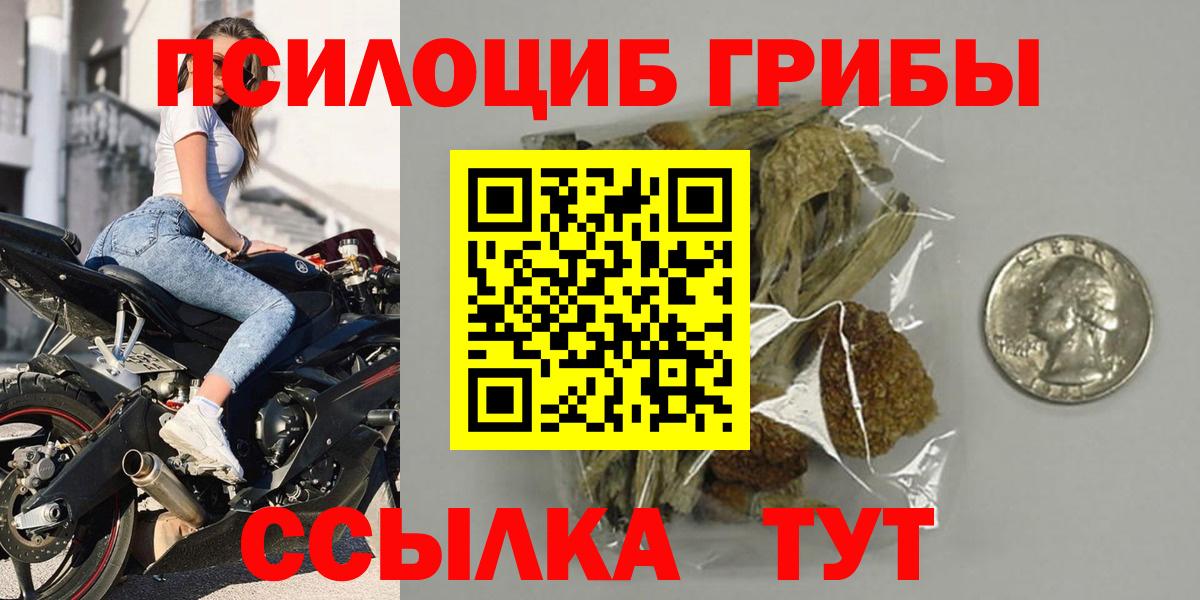 купить закладку  Галлюциногенные грибы ЛСД  Вход с VPN  Кимовск  Галлюциногенные грибы мухоморы 