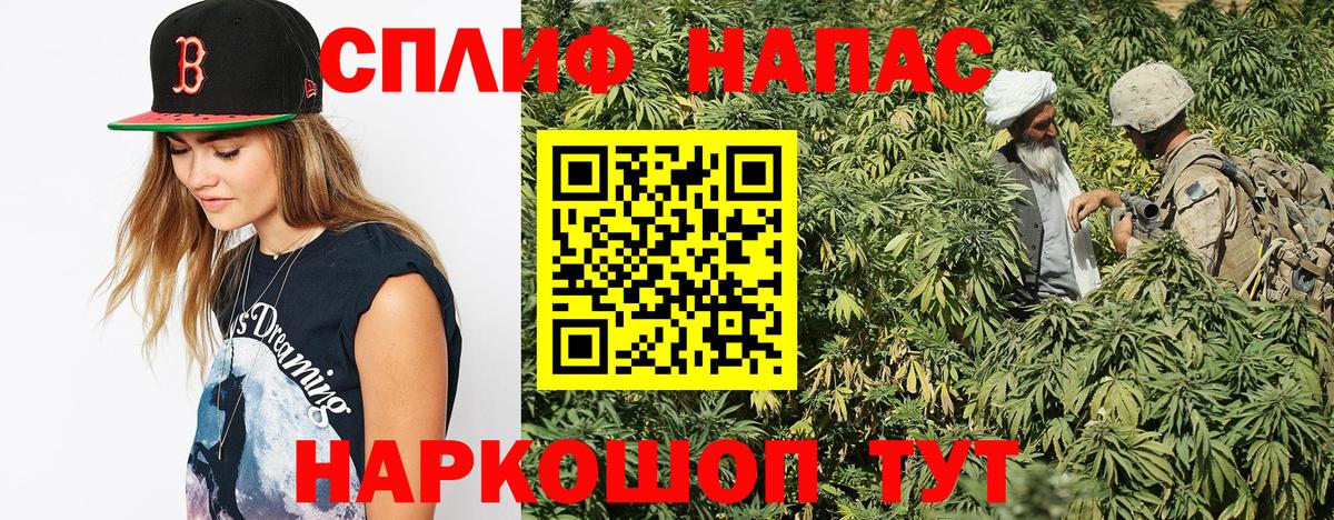 Конопля индика  Вход с VPN  Бошки марихуана гибрид  Марихуана сатива  Кимовск  Конопля MAZAR 